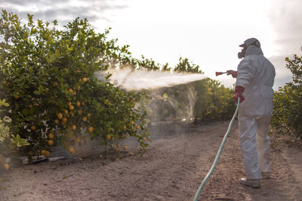Best Pest Inspection Near Me  in Hartington, NE