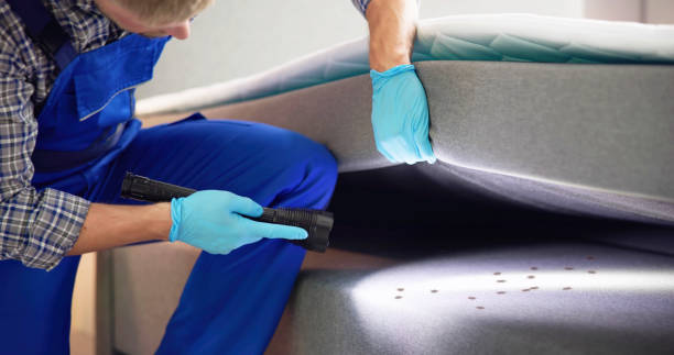 Best Local Pest Control Services  in Hartington, NE