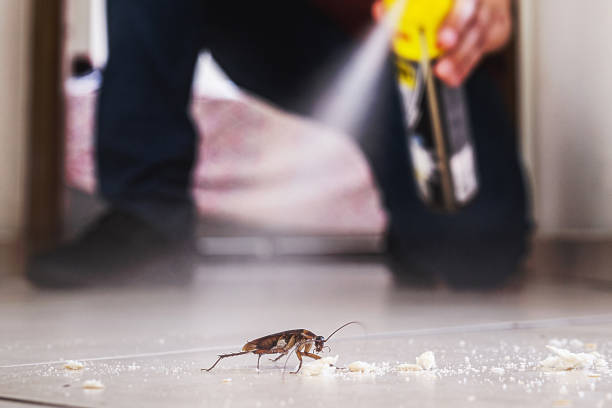 Pest Control Cost in Hartington, NE